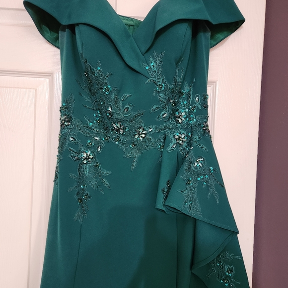 Terani Couture gown. - Picture 4 of 5